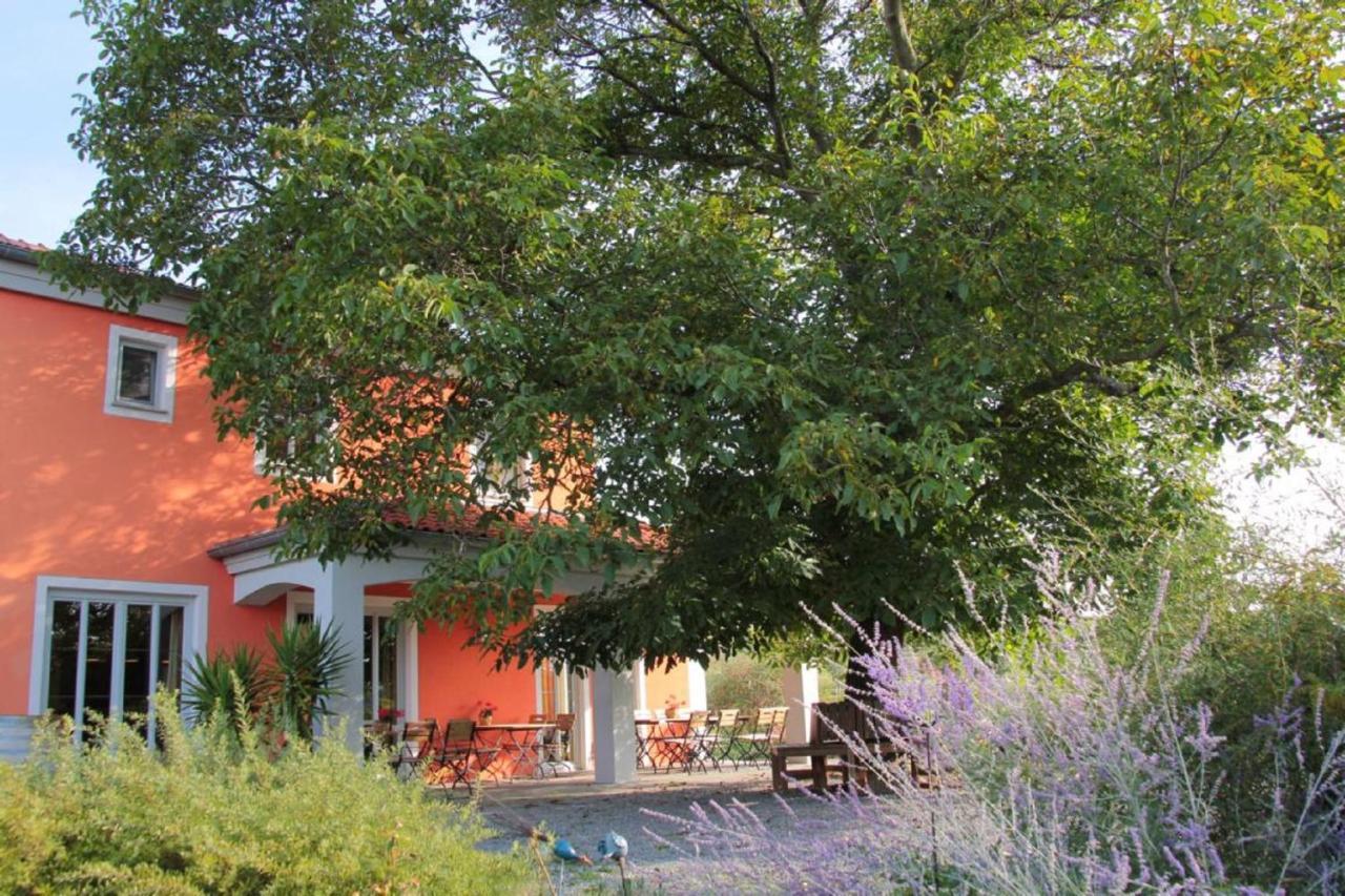 Weinhof Am Nussbaum Hotel Willanzheim Exterior foto